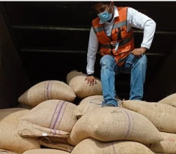 Técnico inspeccionando costales de grano dentro de un contenedor