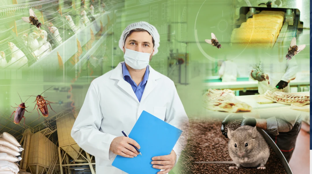 Técnico de inocuidad en una planta de alimentos rodeado de puntos de riesgo: moscas, cucarachas y roedores